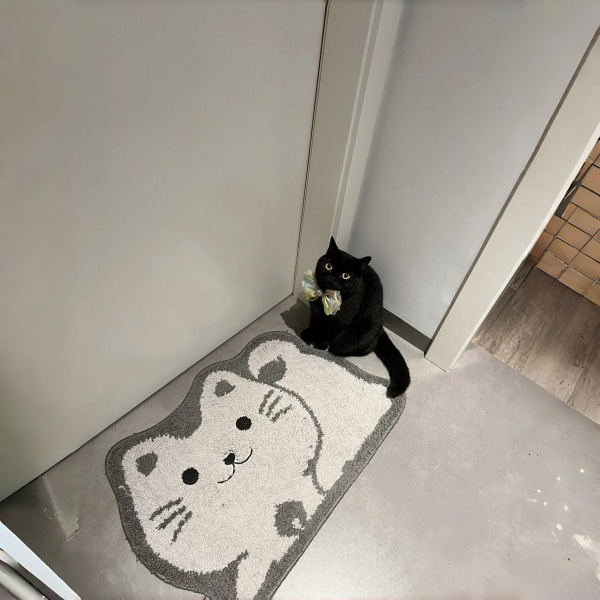 新款创意入户门地垫耐脏仿羊绒卡通门垫防滑吸水客厅卫生间脚垫