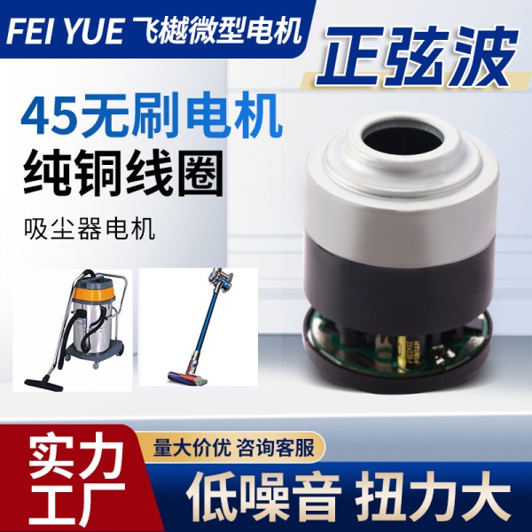 45数码无刷吸尘器电机直流电动工具高速马达电吹风微型电动机批发