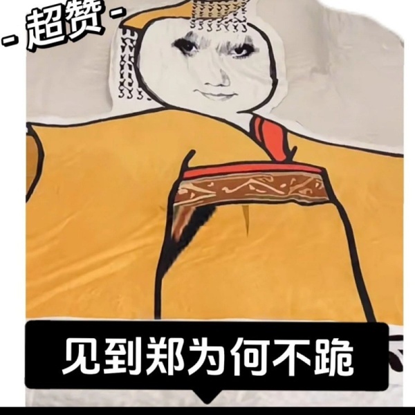 夏季空调毯龙图见到朕为何不跪搞怪毯子宿舍床上午睡表情包毛毯
