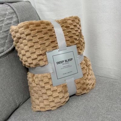 跨境加厚金龟绒毛毯龟背绒多功能午睡毯子学生珊瑚绒盖毯床单可定