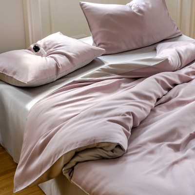 双面100支A类兰精天丝四件套 裸睡床单被套床笠夏季凉感床上用品9