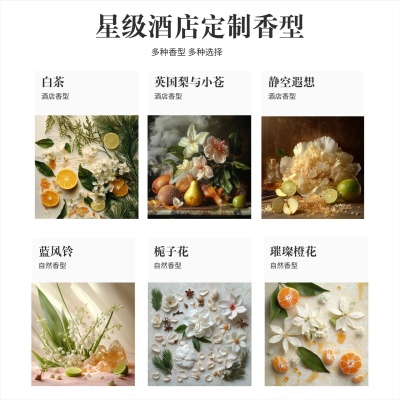 酒店商用香薰机精油扩香机雾化喷香机净味静音家用智能香氛机厕所