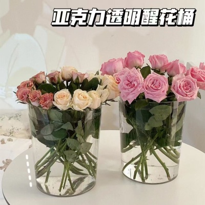 透明垃圾桶大号塑料家用分类厕所卫生间客厅轻奢卧室家居生活用品