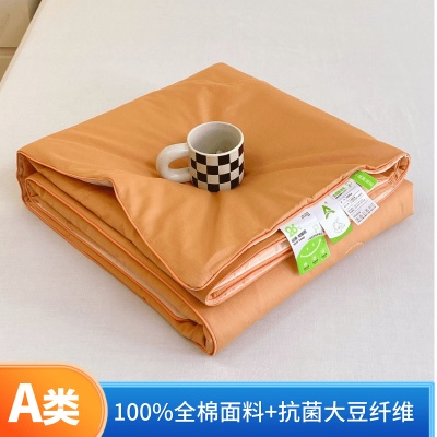 A类全棉大豆夏凉被透气纯棉可洗夏被夏季空调被学生被夏季礼品被