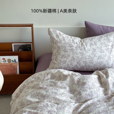 A类全棉有氧双层纱床上四件套纯棉被套床单三件套ins床上用品套件