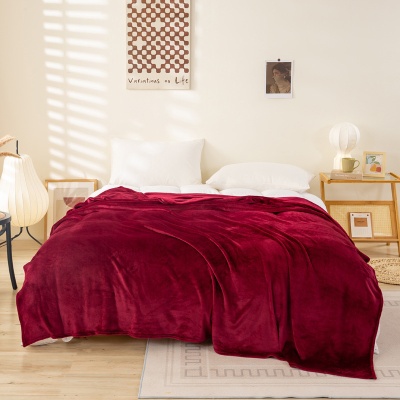 外贸跨境纯色法兰绒毯子夏季沙发午睡盖毯珊瑚绒床单礼品毛毯批发