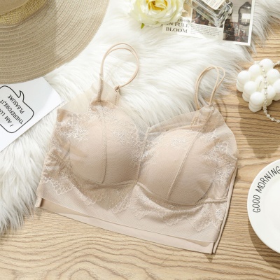 蕾丝小胸美背内衣一体吊带女士春夏短款小胸聚拢内衣胸垫打底背心