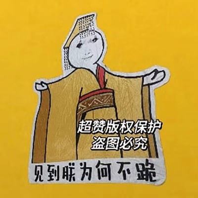 抖音夏季空调毯网红毛毯法兰绒夏凉被皇帝龙图搞怪龙玉涛表情包