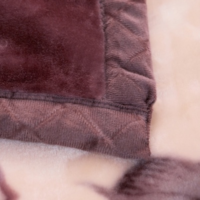 厂家批发拉舍尔绒毯双层加厚毛毯单双人秋冬盖毯团购礼品直播爆款