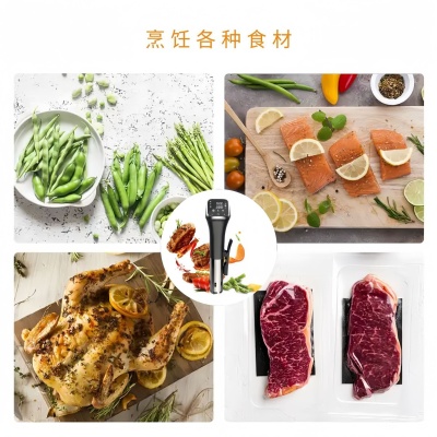 慢煮机定制 厨房电器开模轻定制logo颜色源头工厂