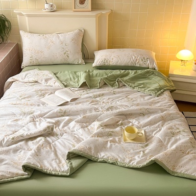 小清新夏被a类面料ins风双层纱水洗棉夏凉被床上用品泡泡棉空调被